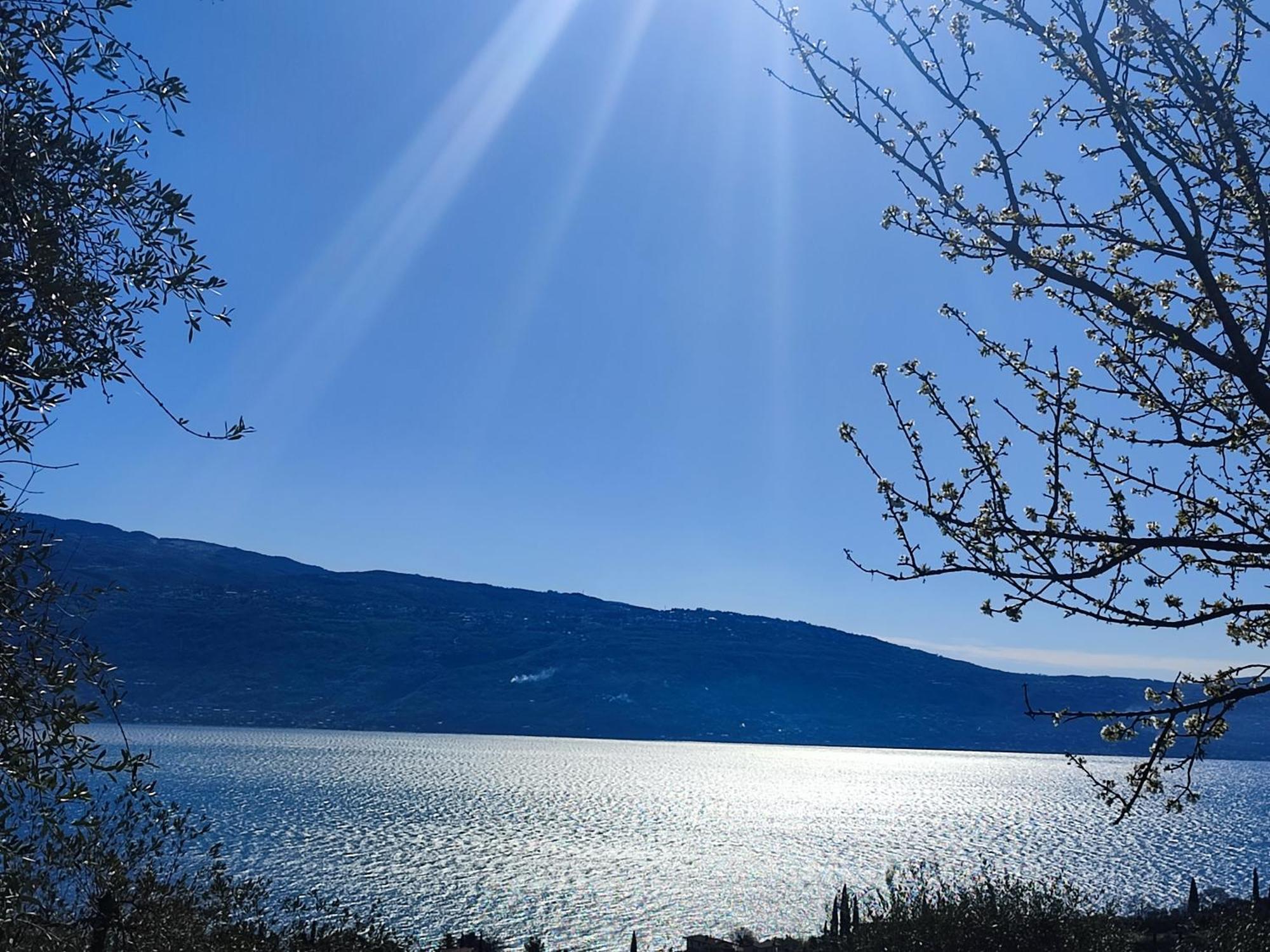 Agriturismo L'Uliveto Гарньяно Экстерьер фото